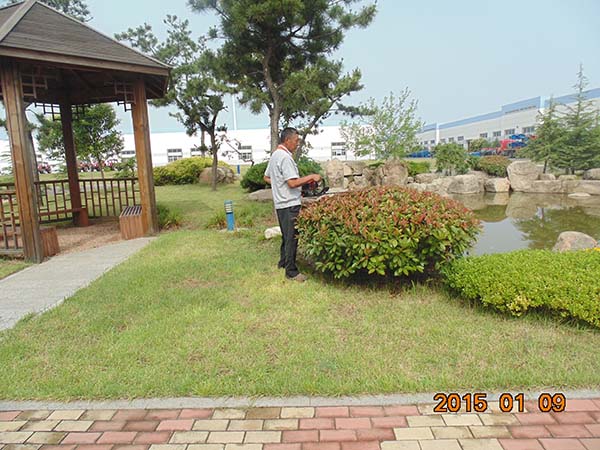 园艺修剪
